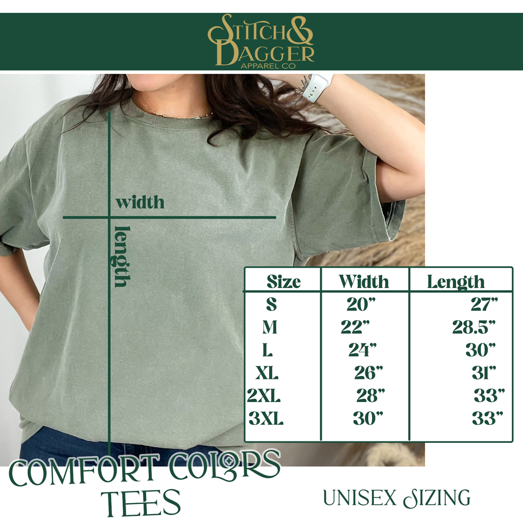 Cowboy Goose Embroidered Pocket Tee