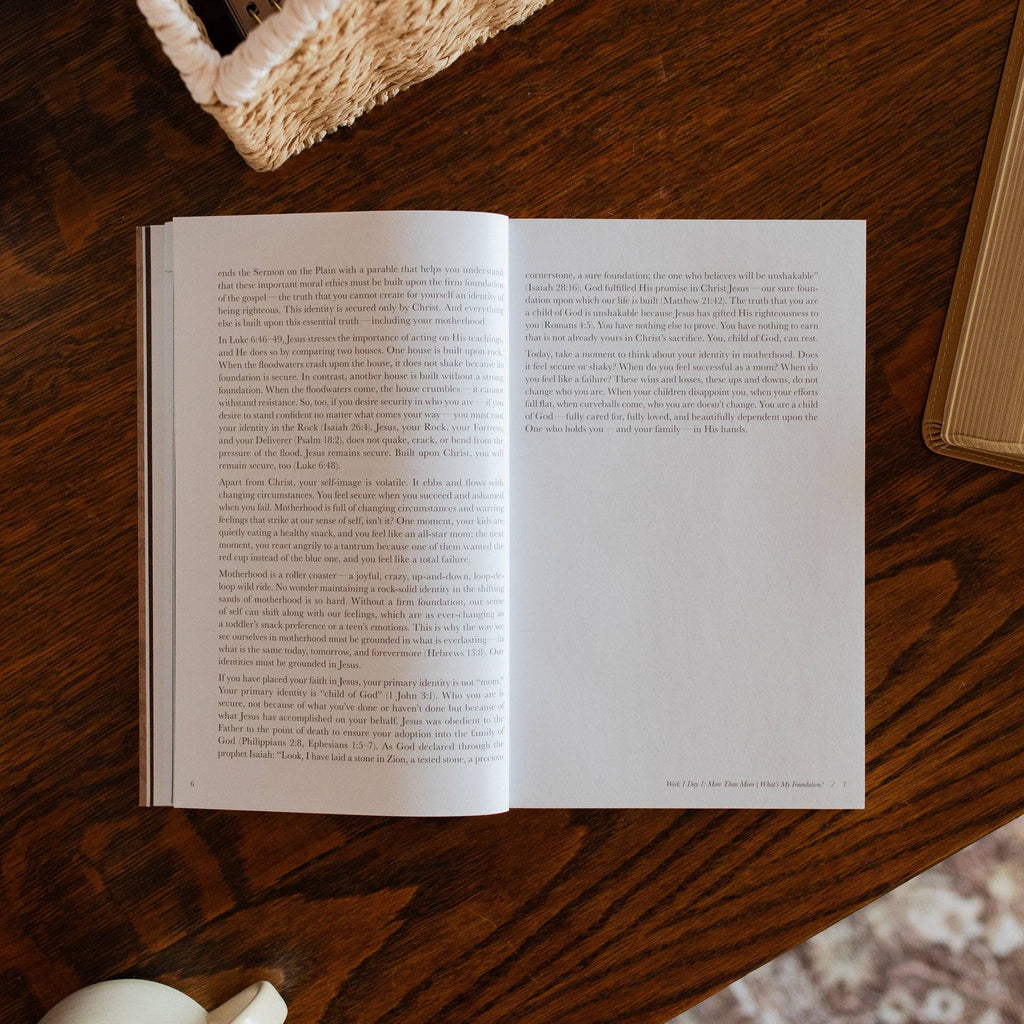 Flourishing in Motherhood | Paperback Bible Study