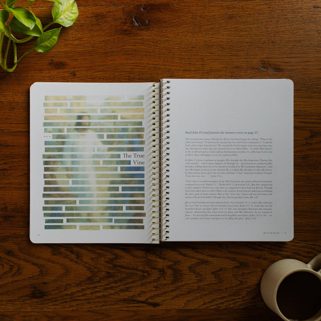 Forty Sayings of Jesus Spiral Bible Study