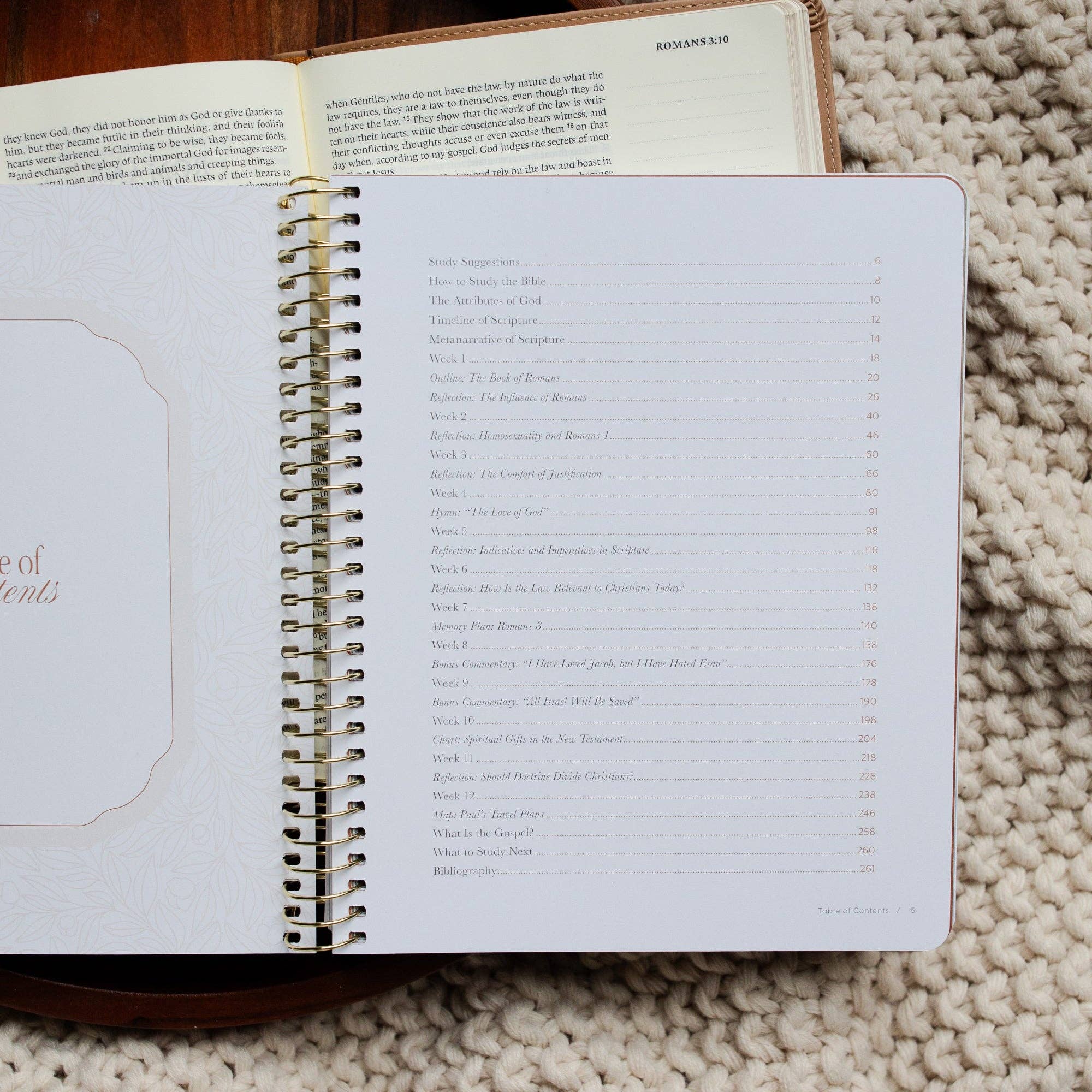 In Christ Alone Bible Study