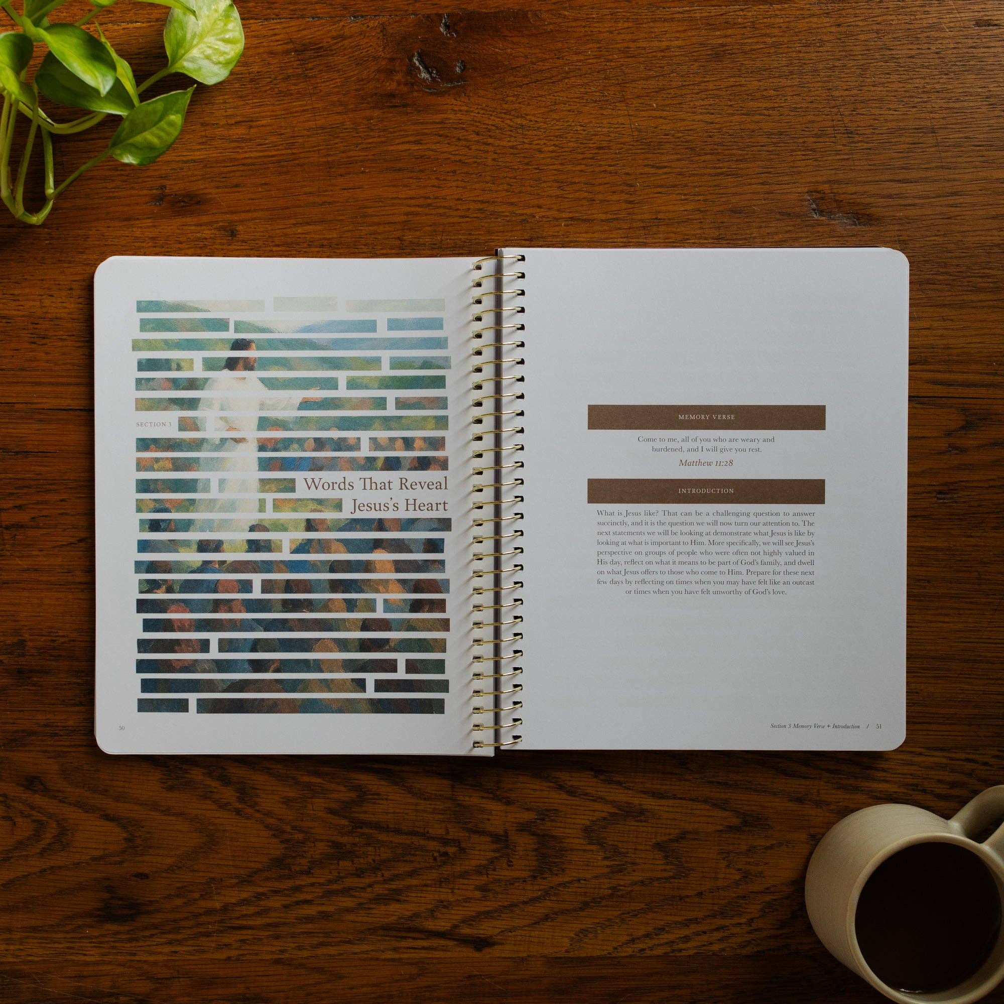Forty Sayings of Jesus Spiral Bible Study