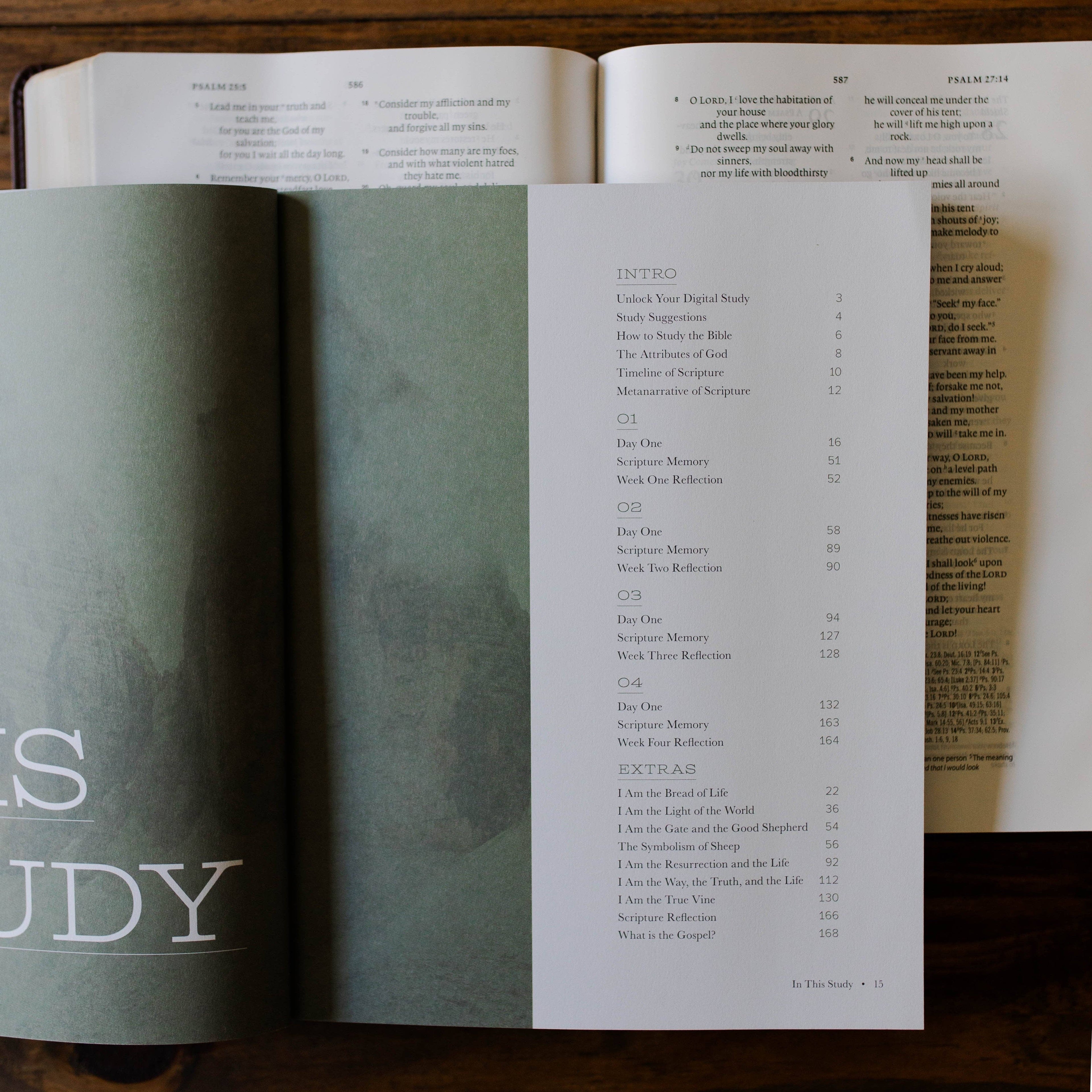 I Am Men's Bible Study