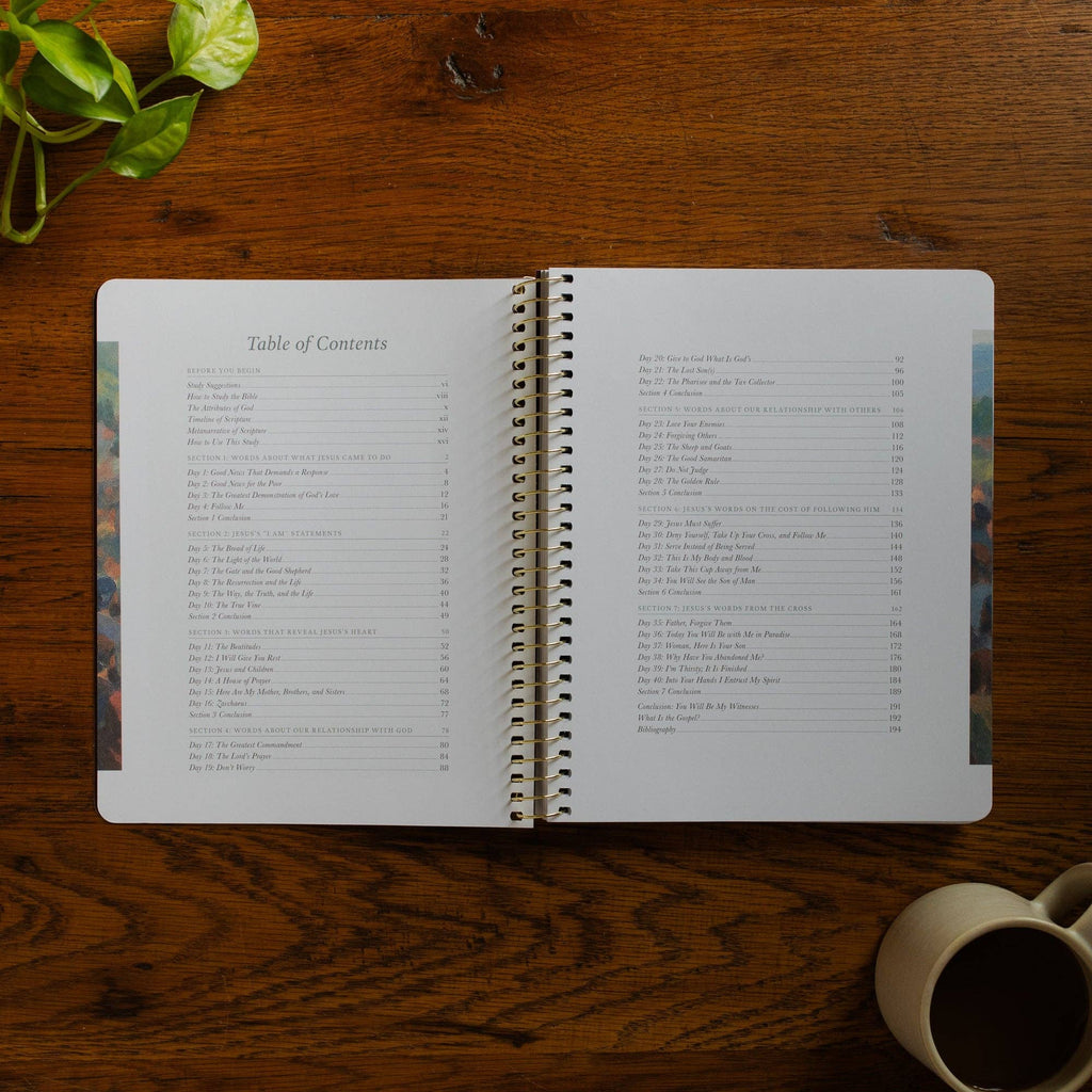 Forty Sayings of Jesus Spiral Bible Study